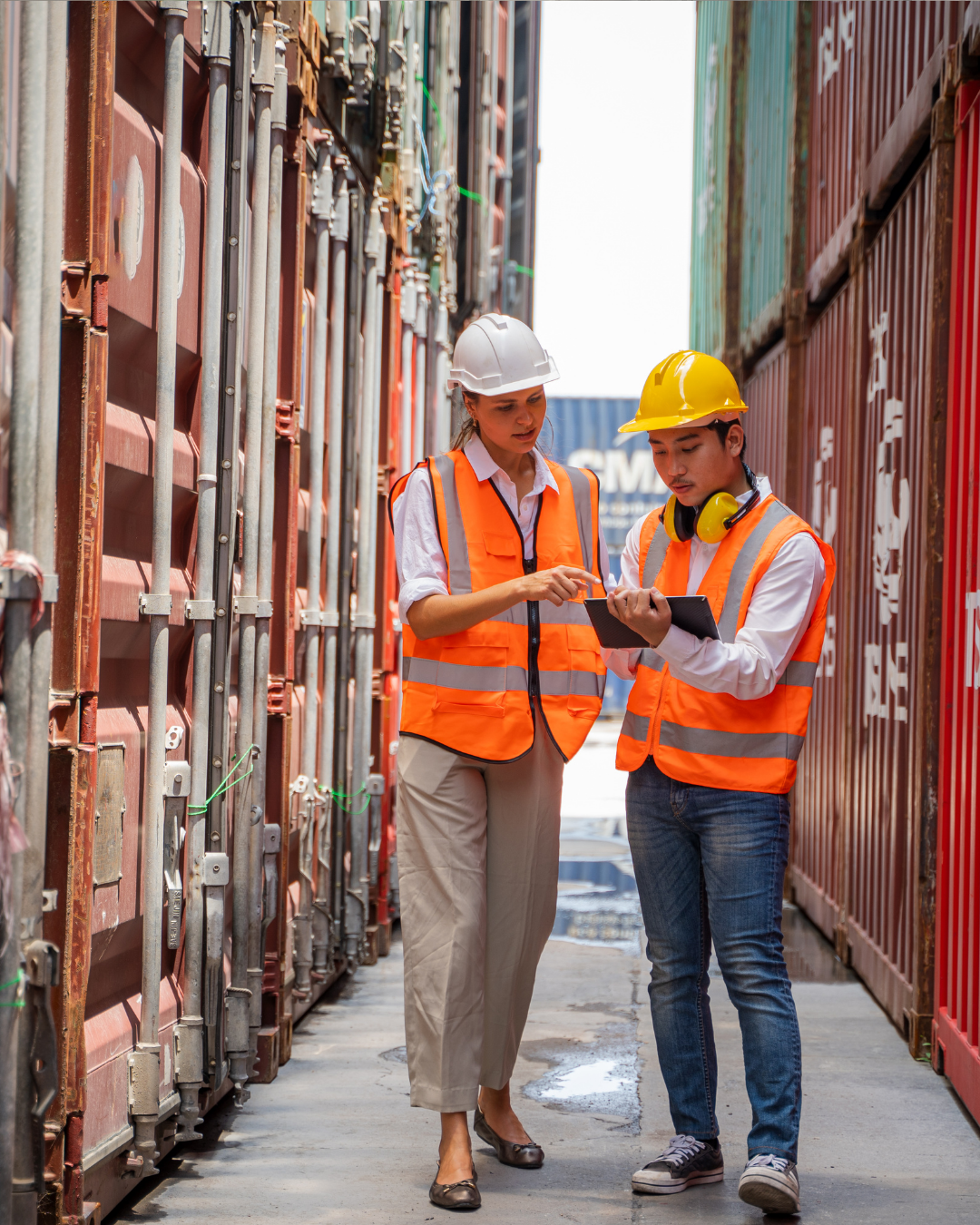 Thailand: International Freight Forwarder Serving Middle East, Africa & Mediterranean Trade Lanes