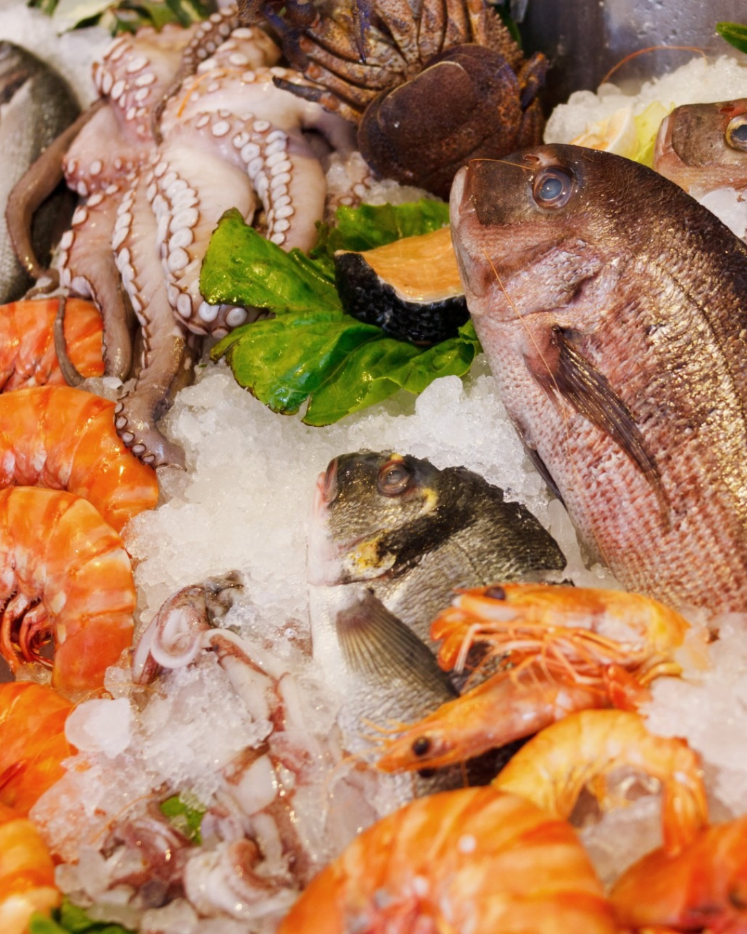 Vietnam: High-Growth Seafood Processing, Import/Export & Distribution Business