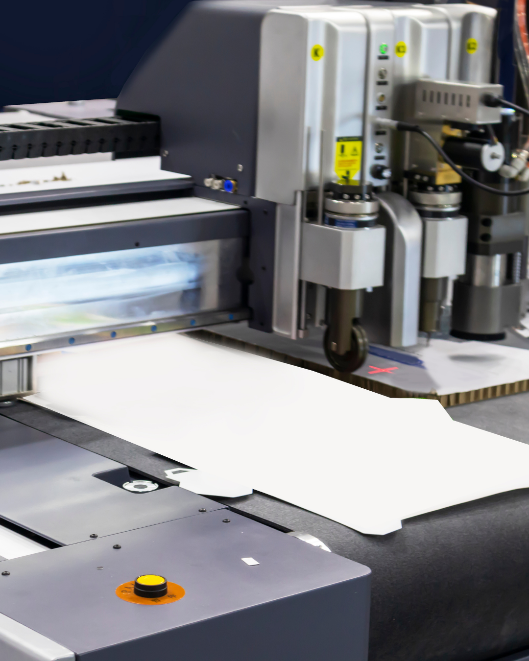 Established Industrial Packaging & Paper Manufacturer in Vietnam