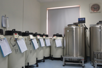 Vietnam: Stem Cell Banking & Cell Therapy CDMO Growth Capital Opportunity