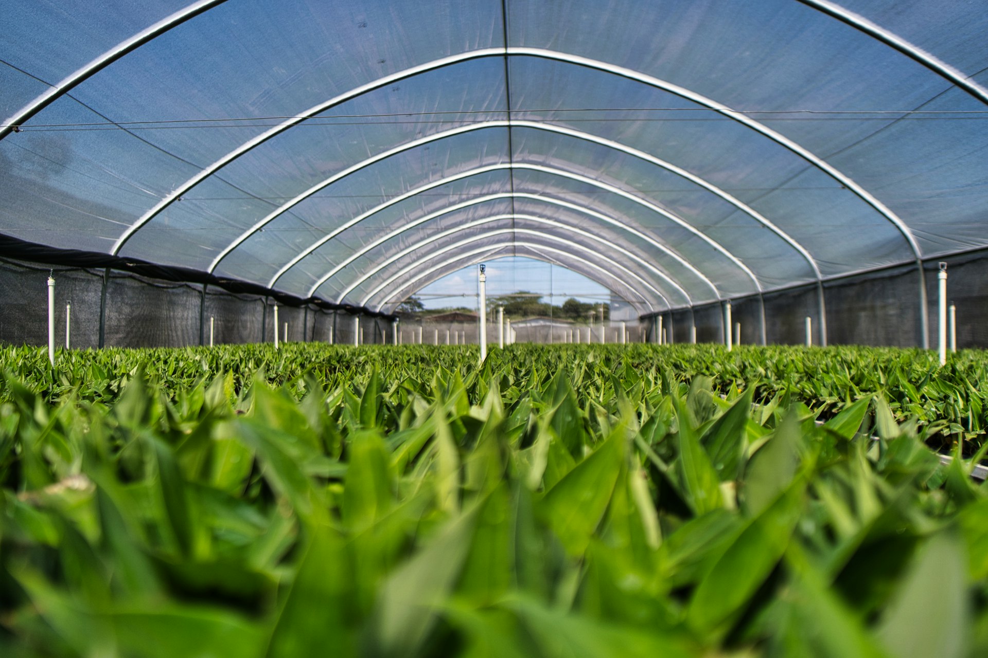 Japan: Established Agricultural & Industrial Materials Manufacturer Seeking Strategic Acquisitions